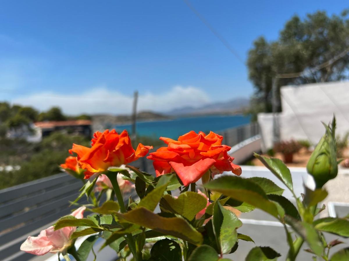 Oceanus Summer House Σαλαμίνα Εξωτερικό φωτογραφία