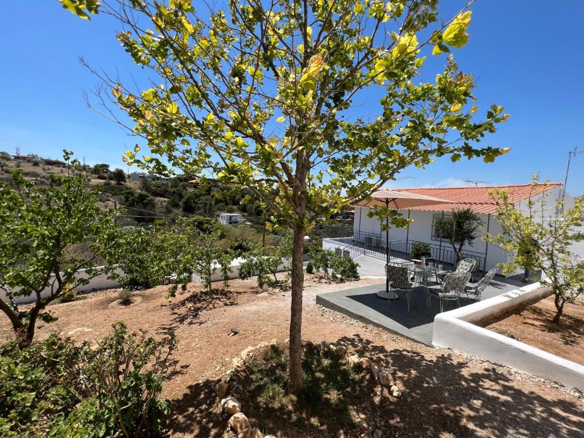 Oceanus Summer House Σαλαμίνα Εξωτερικό φωτογραφία