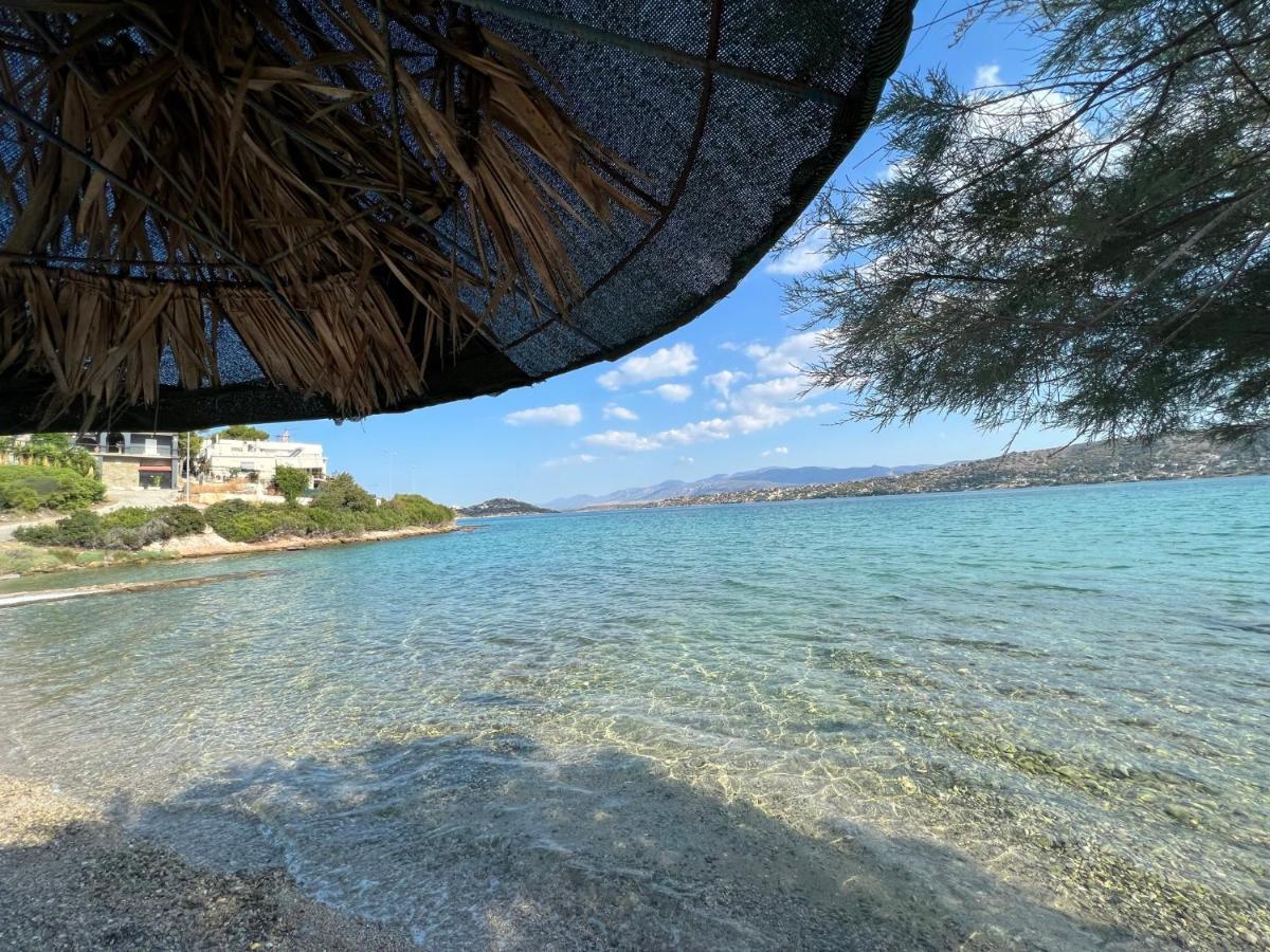 Oceanus Summer House Σαλαμίνα Εξωτερικό φωτογραφία