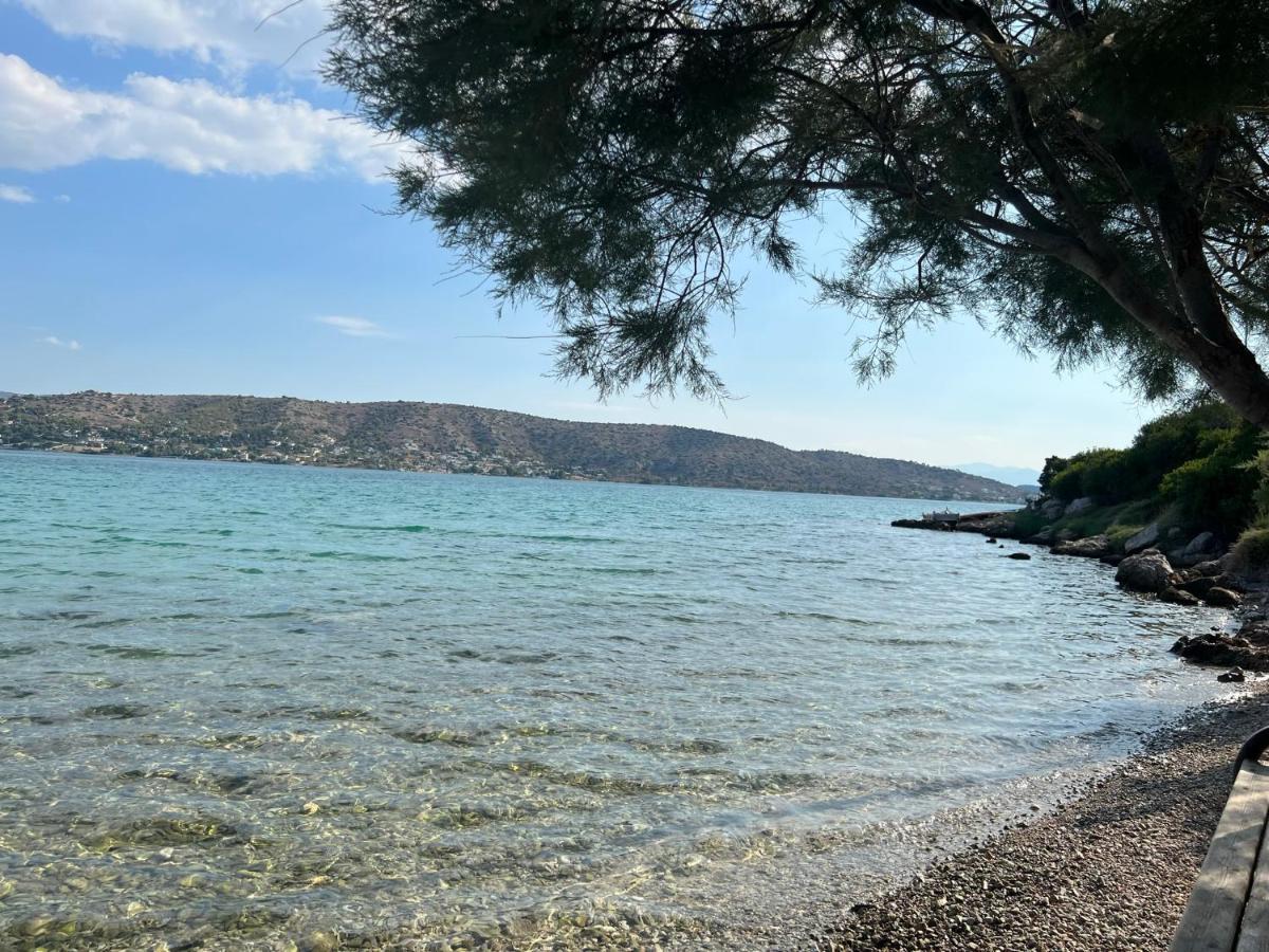 Oceanus Summer House Σαλαμίνα Εξωτερικό φωτογραφία